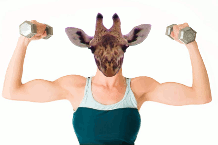 braccia-spalle-toniche-giraffa